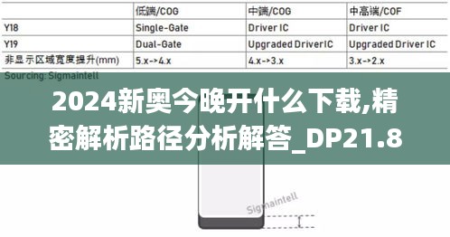 2024新奥今晚开什么下载,精密解析路径分析解答_DP21.820