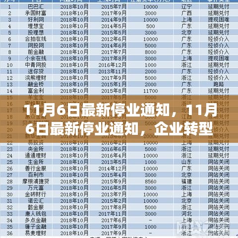 11月6日最新停业通知背后的企业转型决策与应对策略