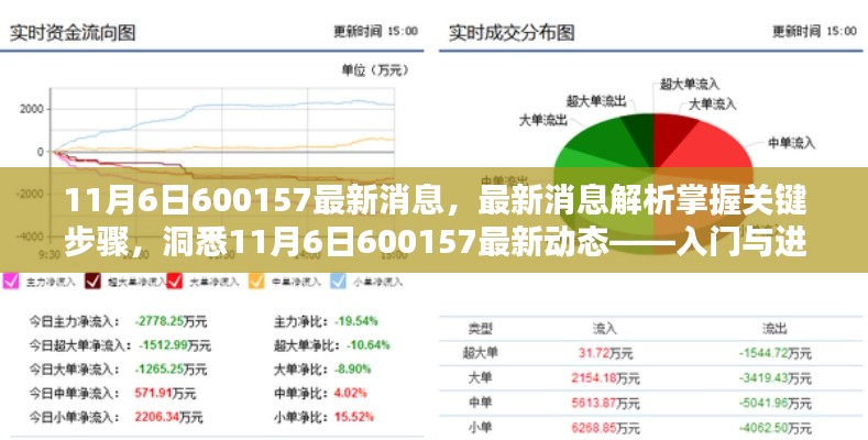 揭秘最新动态，掌握关键步骤洞悉600157最新消息解析与入门进阶指南