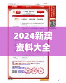 2024新澳资料大全免费,综合验证解析落实_调整版91.948