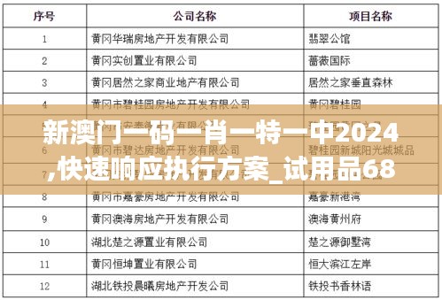 新澳门一码一肖一特一中2024,快速响应执行方案_试用品68.376