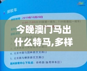 今晚澳门马出什么特马,多样化策略执行_内测版83.178