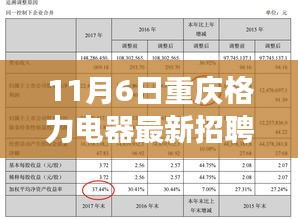 11月6日重庆格力电器招聘盛况解析，多重视角下的招聘现象探讨