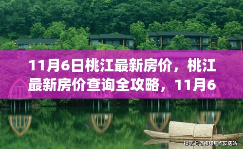 11月6日桃江最新房价全攻略，房价信息一网打尽，适合初学者与进阶用户