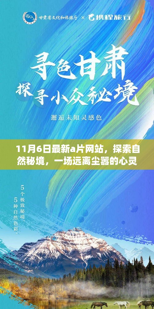 11月6日最新a片网站，探索自然秘境，一场远离尘嚣的心灵之旅——记11月的自然美景A片之旅