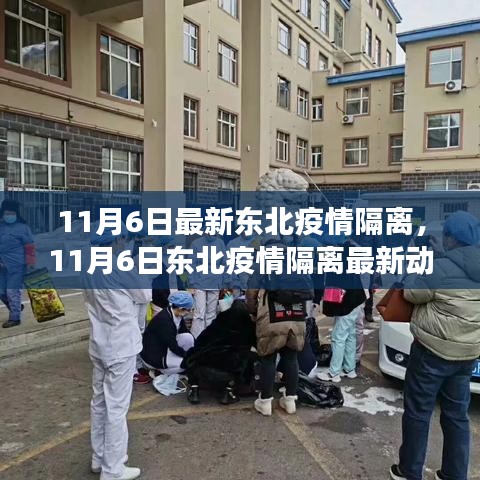 东北疫情隔离最新动态，解读隔离政策与防控措施