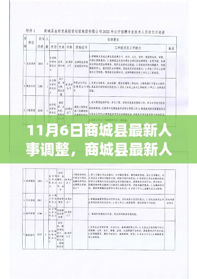 商城县人事调整最新动态，步骤指南与人事变动详解