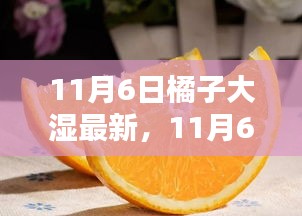 11月6日橘子大湿最新资讯，探索鲜甜之源，橙色盛宴尽享