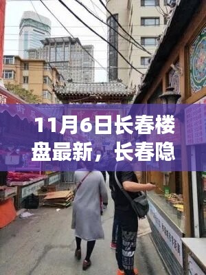 长春隐秘小巷宝藏楼盘揭秘，探寻最新特色小店，11月6日最新楼盘资讯