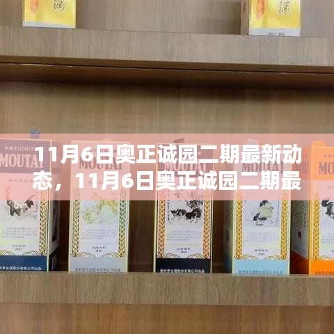 揭秘11月6日奥正诚园二期最新动态，任务详细步骤指南