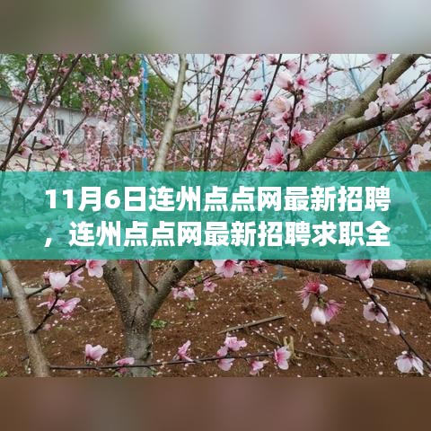 连州点点网最新招聘全攻略，成功应聘心仪职位的步骤指南