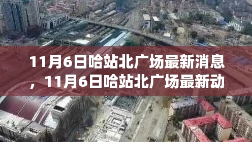 11月6日哈站北广场最新动态，深度解析影响与各方观点