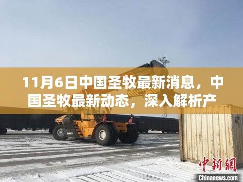 中国圣牧最新动态揭秘，产品特性与用户体验深度解析