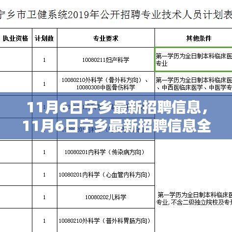 11月6日宁乡最新招聘信息全面解析与评测