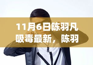 陈羽凡吸毒事件最新进展与深度剖析，11月6日更新