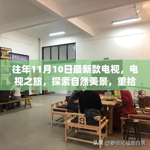 探索自然美景与内心宁静，最新电视之旅启程于往年11月10日