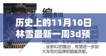 林雪最新一周3D预测，历史上的11月10日观点探析