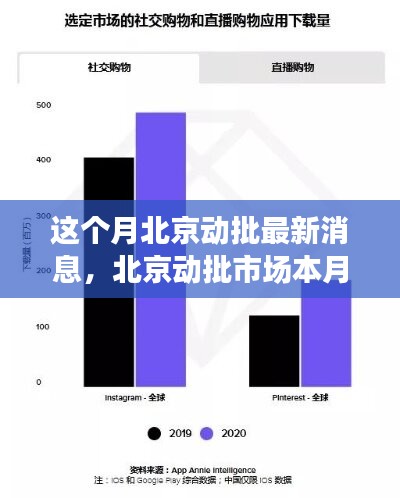 北京动批市场最新动态解析报告，深度解读本月消息与用户体验反馈