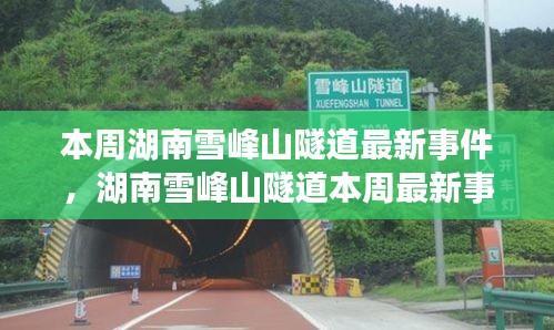 湖南雪峰山隧道本周事件深度解析，各方观点碰撞与个人立场阐述