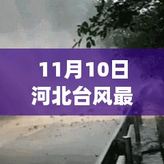 11月10日河北台风最新预报，全方位解读预警信息，安全防范提前准备