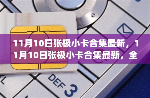 11月10日张极小卡合集最新，产品特性、使用体验与目标用户群体深度解析