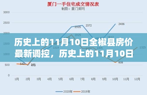 历史上的11月10日全椒县房价调控新篇章，学习变化，拥抱自信成就未来之光