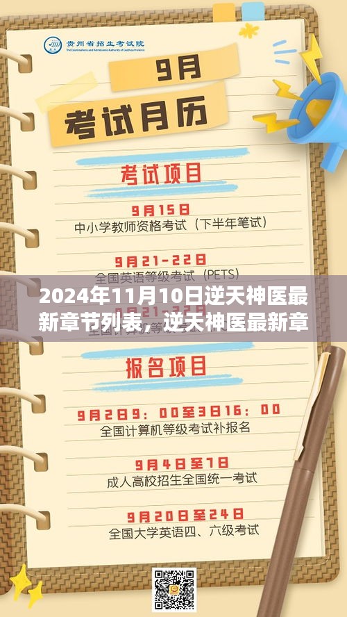 逆天神医，医术巅峰与传奇影响——最新章节概览（2024年11月10日）