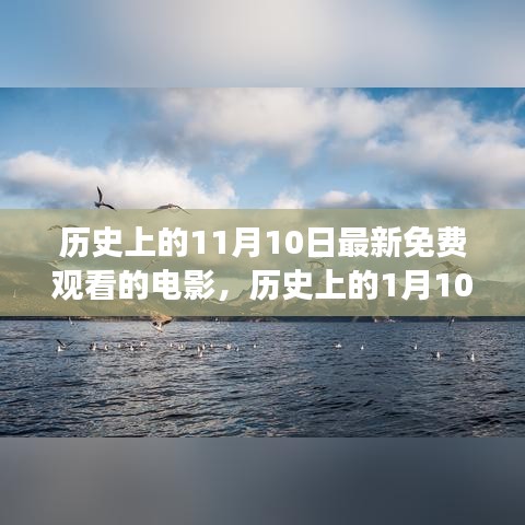 历史观影之旅，电影与自然美景的静谧力量探索