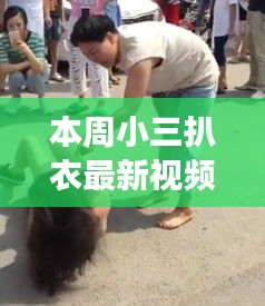 本周小三扒衣最新视频，深度探讨涉黄现象的观点阐述