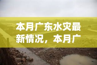 广东本月水灾最新情况，灾难中的坚韧，时代见证的挑战