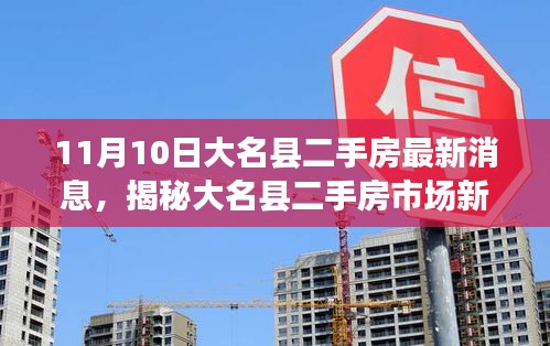 11月10日大名县二手房市场最新动态，科技引领未来居住，体验报告揭秘新动向