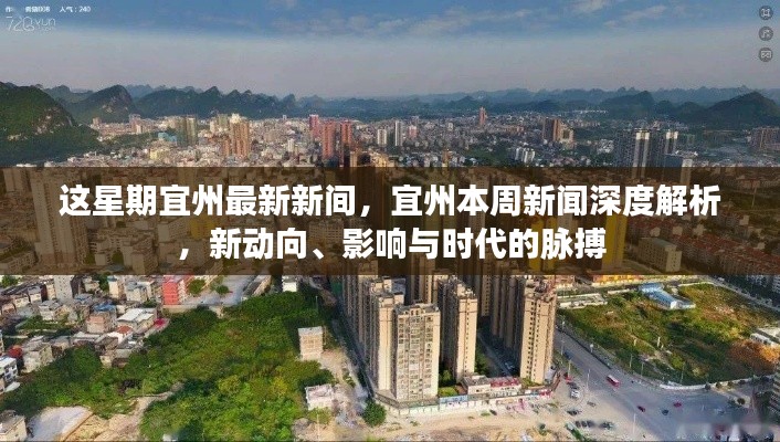 宜州本周新闻深度解析，新动向与时代脉搏同步前行