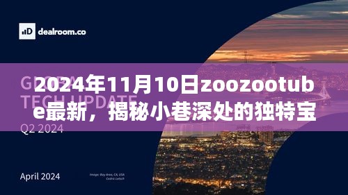 揭秘小巷深处的独特宝藏，Zoozootube特色小店全新发现之旅（2024年）