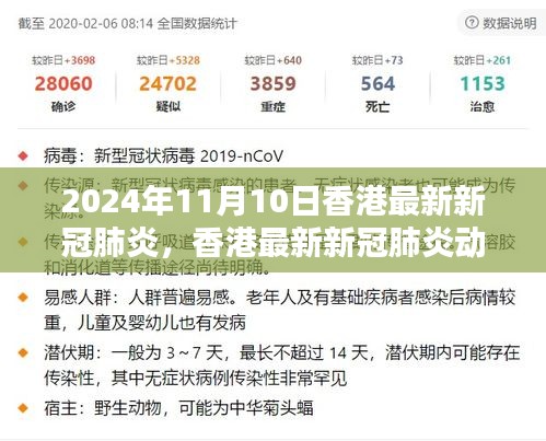 香港最新新冠肺炎动态深度解析，2024年11月10日最新报道与解析