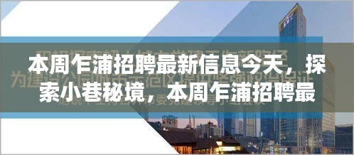 本周乍浦招聘最新信息背后的独特小巷秘境与小店故事探索