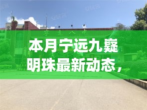 宁远九嶷明珠本月动态，璀璨新篇，时代背景下的闪耀发展