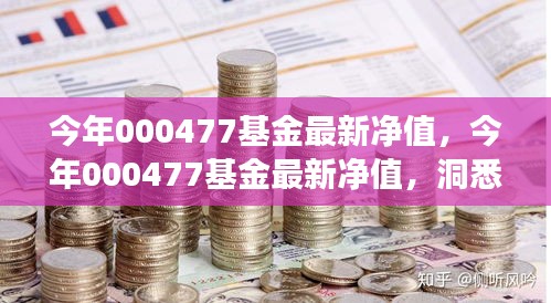 洞悉市场趋势，把握投资机遇，今年000477基金最新净值解析