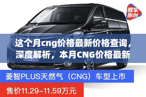 本月CNG价格最新动态，深度解析、查询及实用体验评测