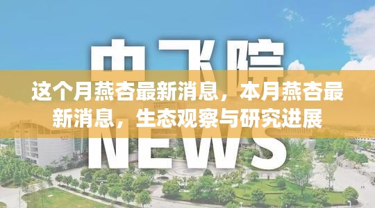 燕杏生态观察与研究进展的最新消息本月更新