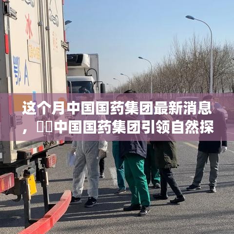 中国国药集团引领自然探索之旅，探寻心灵宁静的奇妙之旅，最新消息揭秘