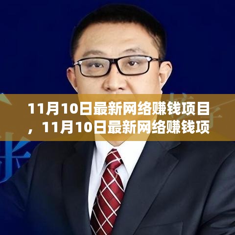 11月10日最新网络赚钱项目详解与全方位评测