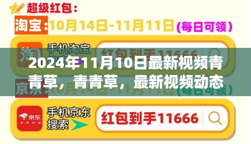 青青草最新视频动态及深度解析（2024年11月版）