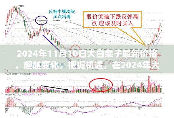 2024年大白黍子最新价格浪潮中的机遇与挑战，自信与成就感的探寻之旅