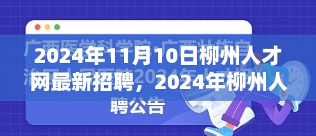 2024年柳州人才网最新招聘趋势及求职指南