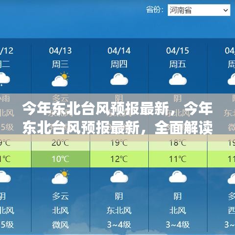 今年东北台风预报最新解读与案例分析，全面预警与应对建议