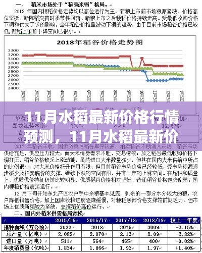 11月水稻价格行情预测及市场走势分析与展望