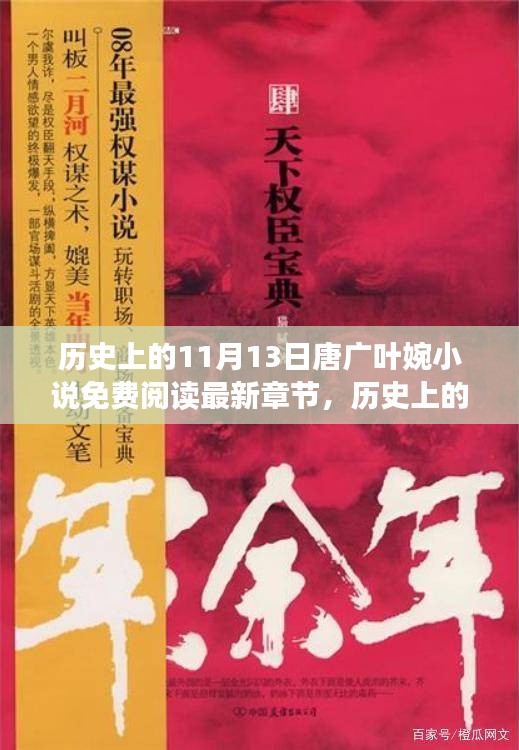 历史上的11月13日，唐广叶婉小说深度测评与介绍及免费阅读最新章节