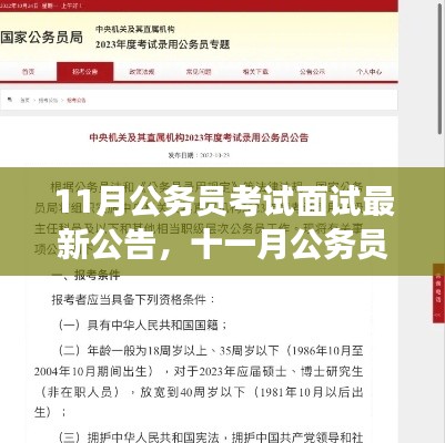 探寻背景、事件与影响，十一月公务员考试面试最新公告发布