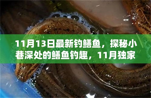 探秘小巷深处，独家分享11月钓鳝鱼体验与钓趣揭秘