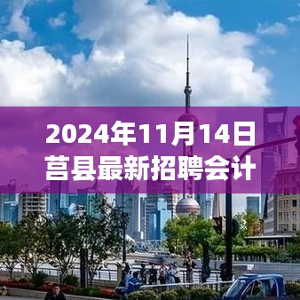 莒县最新会计招聘信息概览，2024年11月14日会计岗位招聘启事